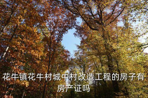 花牛鎮(zhèn)花牛村城中村改造工程的房子有房產(chǎn)證嗎