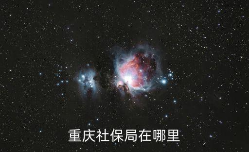 重慶市社會保險局，重慶社保局在哪里