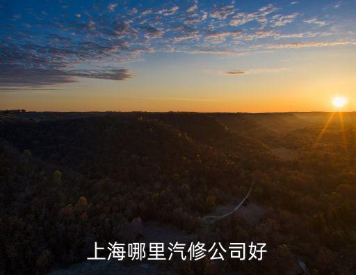 上海市永發汽車修理廠，上海 修車廠在哪里