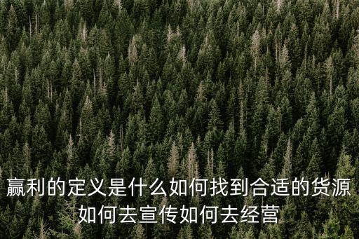 贏利，什么是贏利