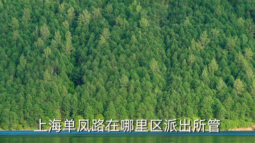 上海市丹鳳路報(bào)戶(hù)籍地，戶(hù)籍詳細(xì)地址是什么