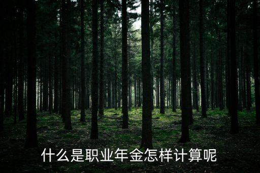什么是職業(yè)年金怎樣計算呢
