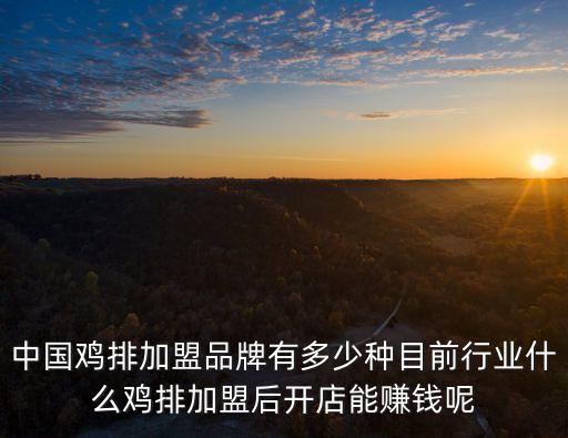 廣州雞排加盟哪個平臺好，廣州戴龍企業搖滾雞排加盟怎么樣