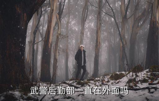 上海市武警總隊(duì)后勤部，武警后勤是干什么