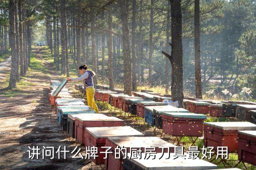 講問什么牌子的廚房刀具最好用