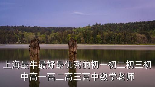 上海最牛最好最優秀的初一初二初三初中高一高二高三高中數學老師