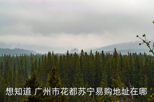 蘇寧易購(gòu)廣州新店在哪里啊，蘇寧廣州店地址