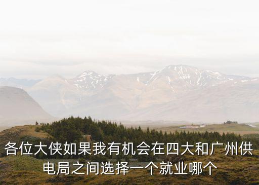 各位大俠如果我有機(jī)會(huì)在四大和廣州供電局之間選擇一個(gè)就業(yè)哪個(gè)