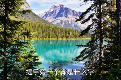 金青什么字，提手旁一個牚是什么字