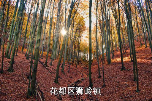 廣州花都獅嶺土地轉讓用地，廣州花都獅嶺