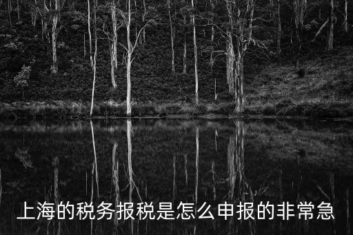 上海的稅務(wù)報(bào)稅是怎么申報(bào)的非常急