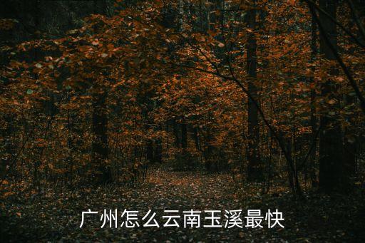 廣州怎么云南玉溪最快