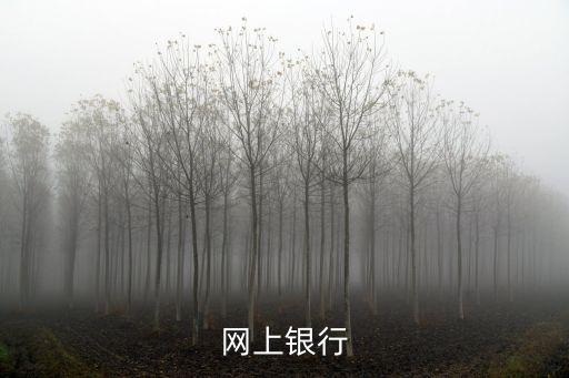 網上銀行