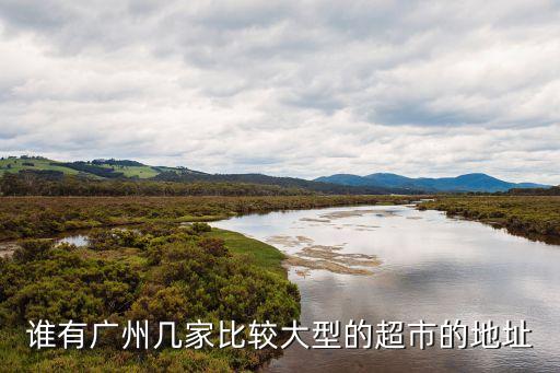 誰有廣州幾家比較大型的超市的地址