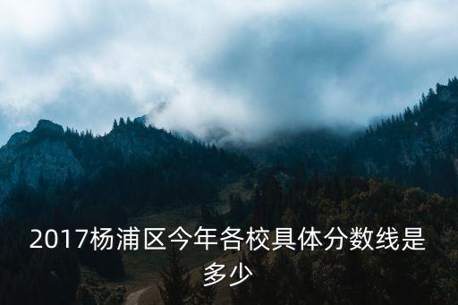 2017楊浦區(qū)今年各校具體分數線是多少