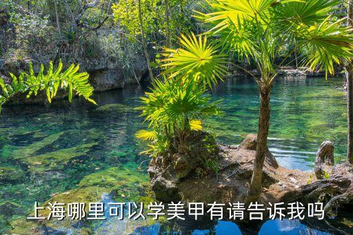 上海市朝路有美甲學校嗎，上海有培訓美甲的學校么