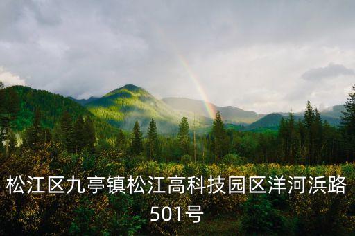 上海市松江九亭鎮(zhèn)圖片，上海九亭鎮(zhèn)滬亭北路近滬松公路
