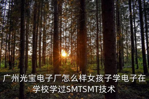 廣州光寶電子廠怎么樣女孩子學電子在學校學過SMTSMT技術
