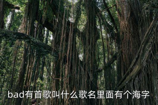 bad有首歌叫什么歌名里面有個海字