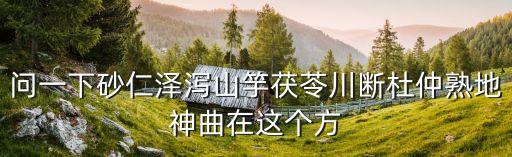 問一下砂仁澤瀉山竽茯苓川斷杜仲熟地神曲在這個方