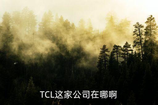 TCL這家公司在哪啊