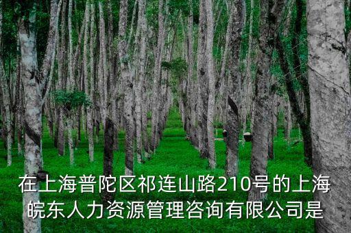上海市普陀區王建寧，在上海普陀區祁連山路210號的上海皖東人力資源管理咨詢有限公司是