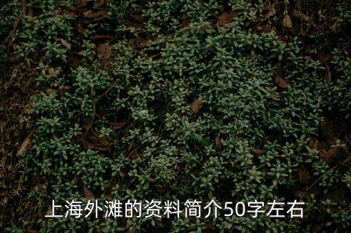 上海外灘的資料簡介50字左右