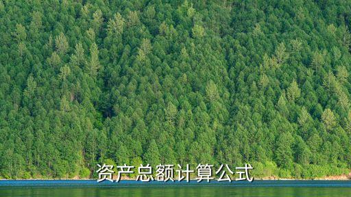 資產總額計算公式