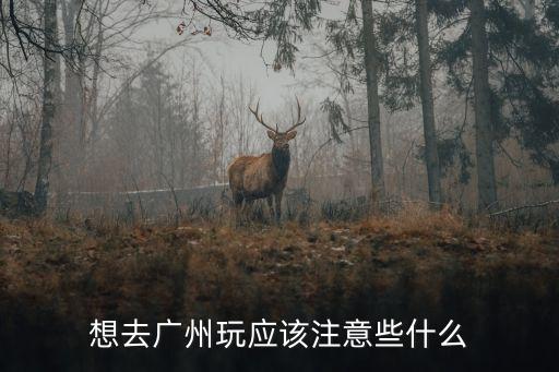 想去廣州玩應(yīng)該注意些什么
