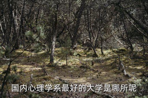 心理學院校排名，國內哪所大學是因為心理學而出名的