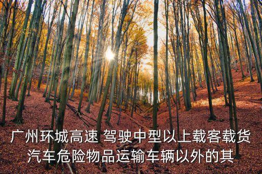 廣州環(huán)城高速 駕駛中型以上載客載貨汽車危險(xiǎn)物品運(yùn)輸車輛以外的其