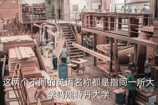 荷蘭鹿特丹大學，鹿特丹大學世界排名第幾名