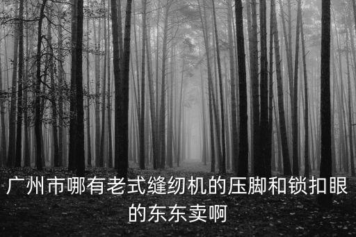 廣州市哪有老式縫紉機的壓腳和鎖扣眼的東東賣啊