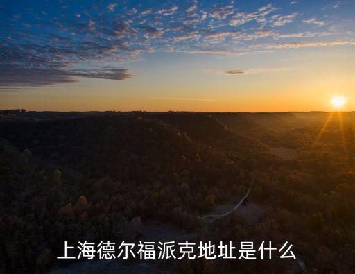 上海德?tīng)柛Ｅ煽说刂肥鞘裁? class=