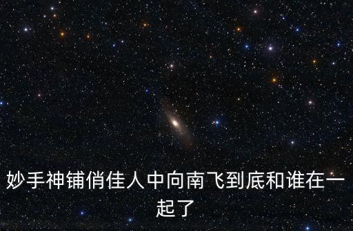 向南飛，妙手神鋪俏佳人中向南飛到底和誰在一起了