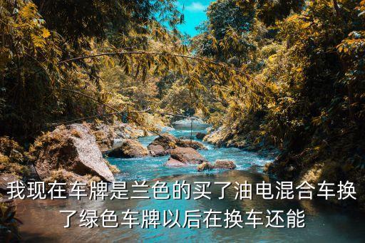 廣州有了綠牌還能拍藍牌嘛，我現(xiàn)在車牌是蘭色的買了油電混合車換了綠色車牌以后在換車還能