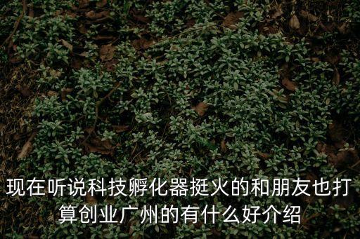 現在聽說科技孵化器挺火的和朋友也打算創業廣州的有什么好介紹