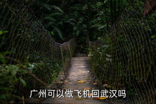 廣州可以做飛機回武漢嗎