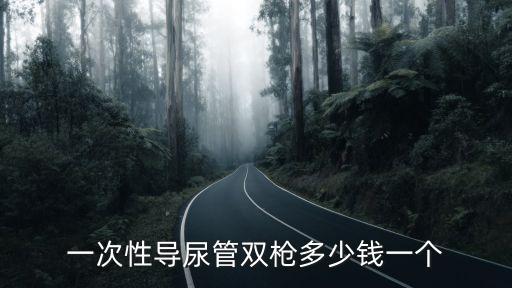 一次性導尿管雙槍多少錢一個
