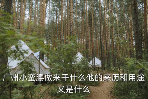 廣州小蠻腰做來干什么他的來歷和用途又是什么