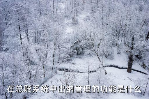 在總賬系統(tǒng)中出納管理的功能是什么