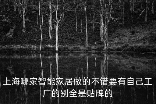 上海哪家智能家居做的不錯要有自己工廠的別全是貼牌的