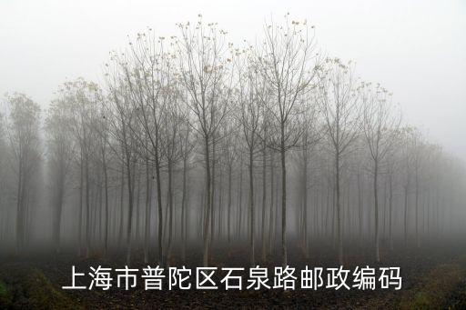 上海市石泉路是什么區，上海石泉路信儀新村20號屬于哪個區