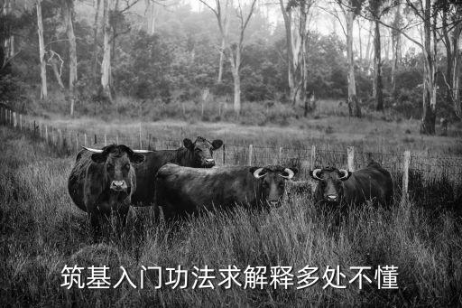 筑基功法，想學氣功 求高人給個氣功筑基的方法 謝謝了
