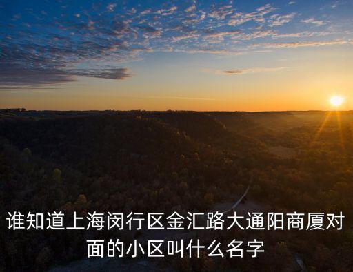 上海市華城公寓閔行華莊，誰知道上海閔行區金匯路大通陽商廈對面的小區叫什么名字