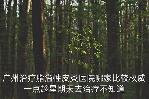 廣州治療脂溢性皮炎醫(yī)院哪家比較權(quán)威一點(diǎn)趁星期天去治療不知道