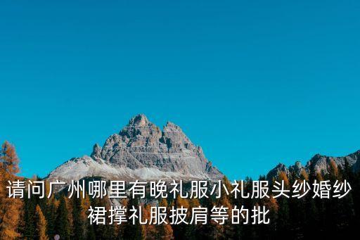 廣州批發(fā)市場晚禮服件套，廣州批發(fā)晚禮服的地方