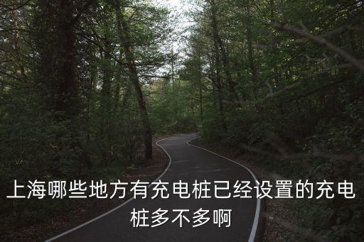 上海哪些地方有充電樁已經(jīng)設(shè)置的充電樁多不多啊