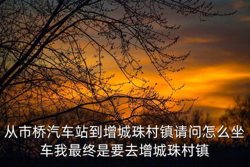 從市橋汽車站到增城珠村鎮(zhèn)請問怎么坐車我最終是要去增城珠村鎮(zhèn)