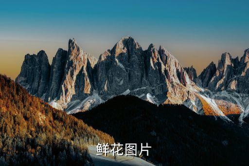漂亮的鮮花圖片，世界上最美的花有哪些